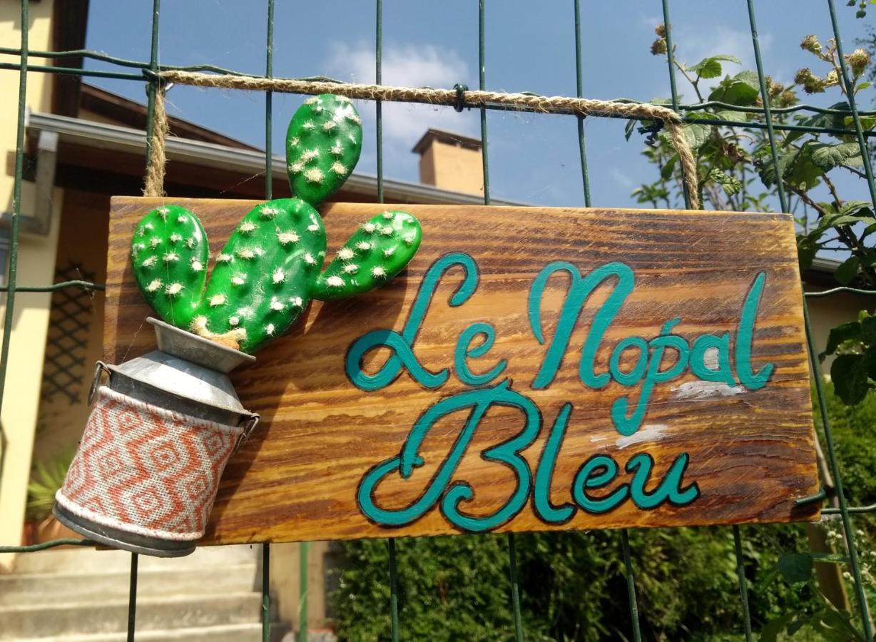 Апартаменти Le Nopal Bleu Тараскон-сюр-Ар'єж Екстер'єр фото